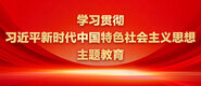 www.逼逼逼学习贯彻习近平新时代中国特色社会主义思想主题教育_fororder_ad-371X160(2)